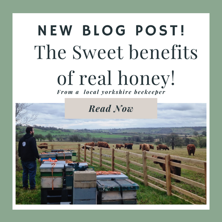 The Sweet benefits of pure honey from a local Yorkshire Beekeeper