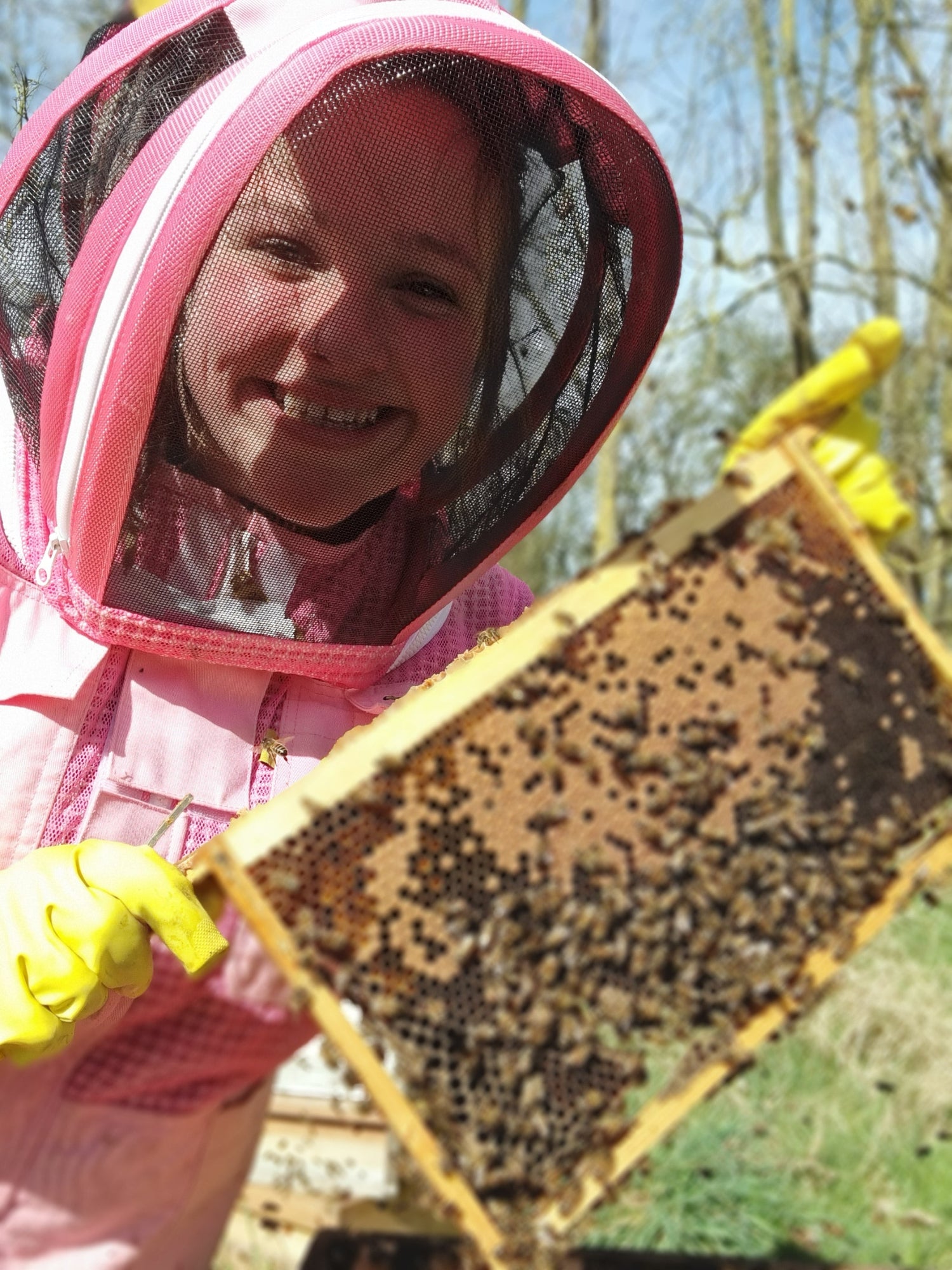 Bee experiences