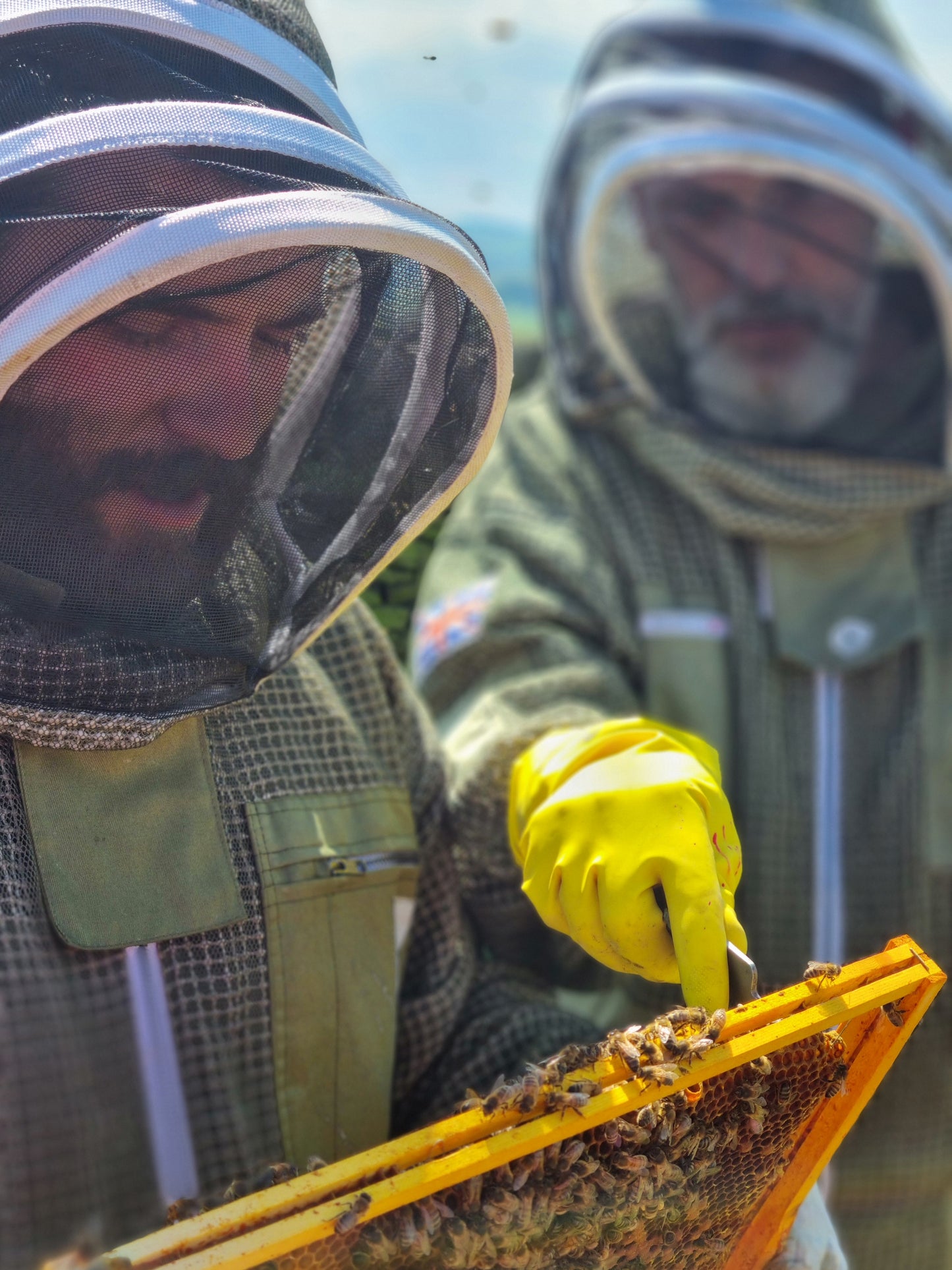 Beekeeping Experience Digital Voucher