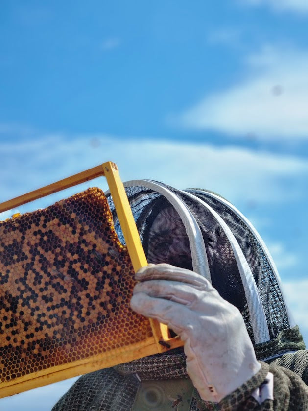 Beekeeping Experience Digital Voucher