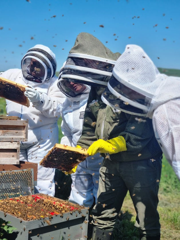 Beekeeping Experience Digital Voucher