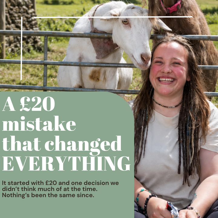 The £20 mistake that changed our farm forever