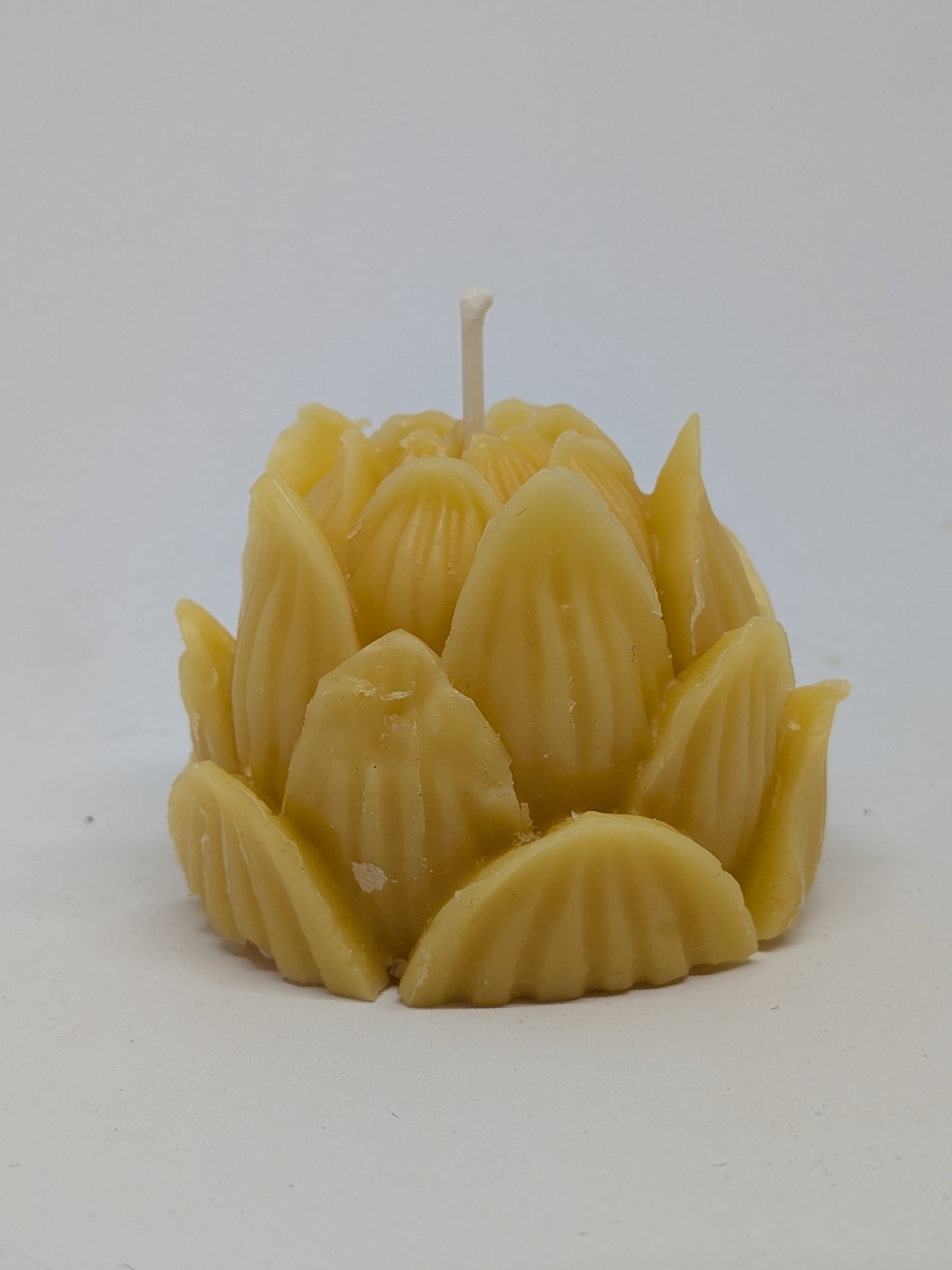 100% Beeswax Candles - Varying sizes