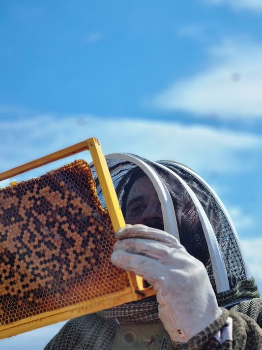 Fri 21st Aug 2026 - Beekeeping Experience