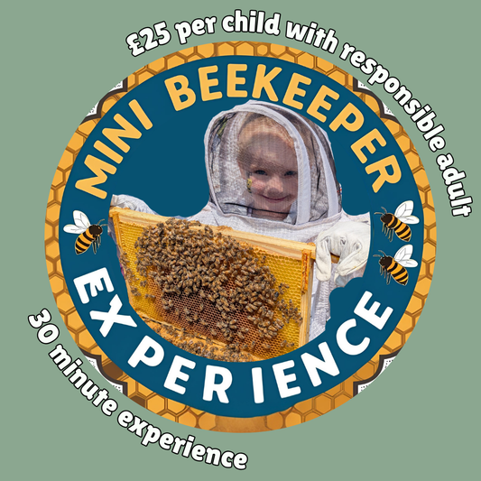 Children's Mini Beekeeper Experience - Multiple dates
