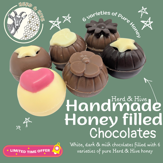 Honey Filled Chocolates - 6 pack