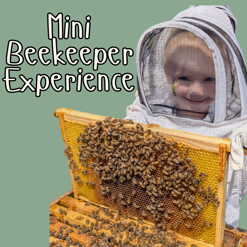 Children's Mini Beekeeper Experience - Multiple dates