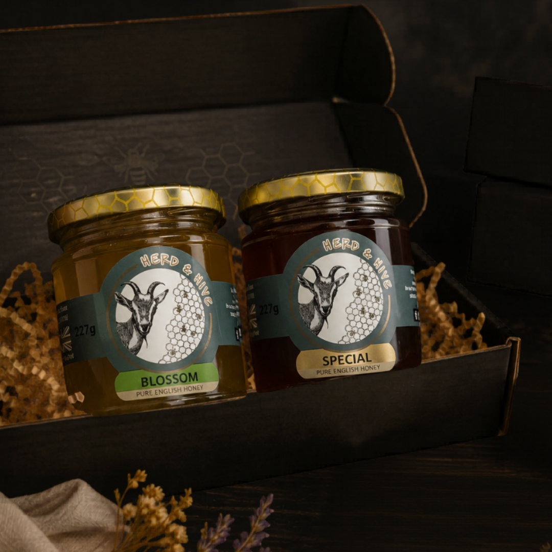 Two jars of honey with labels in a decorative box on a dark background