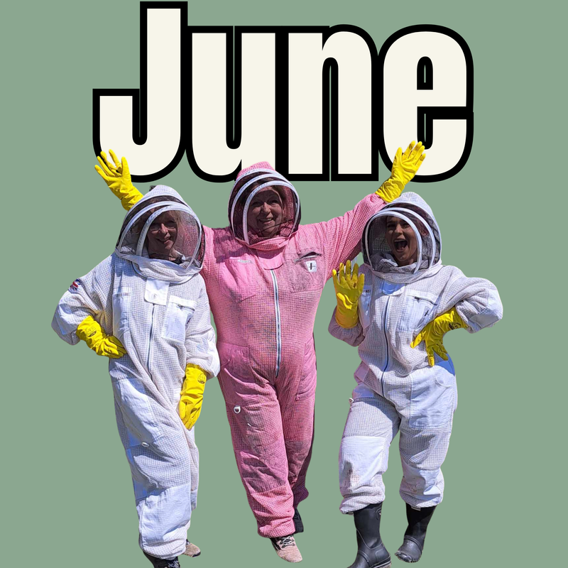 June Beekeeping experience - Various dates available