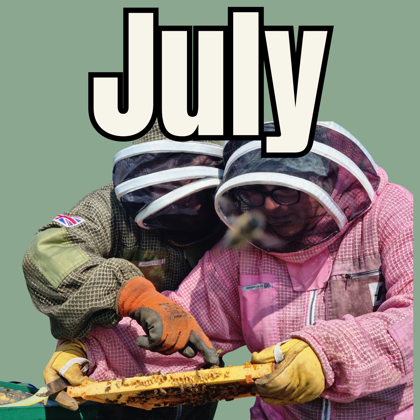 July Beekeeping experience - Various dates available