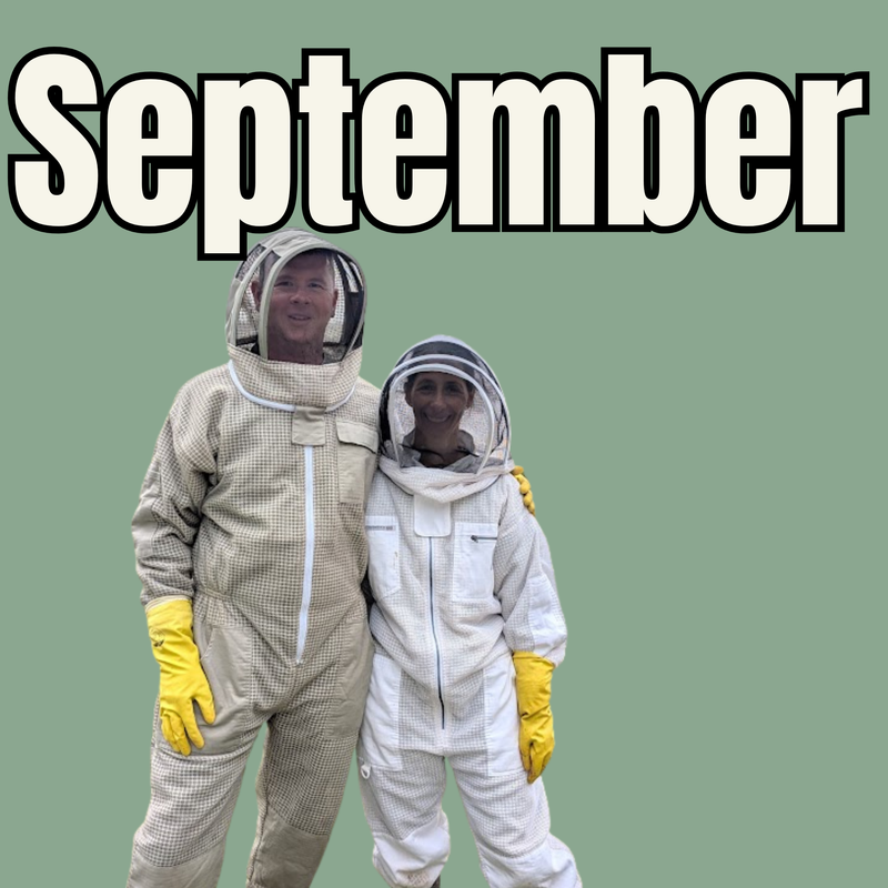 September Beekeeping experience - Various dates available