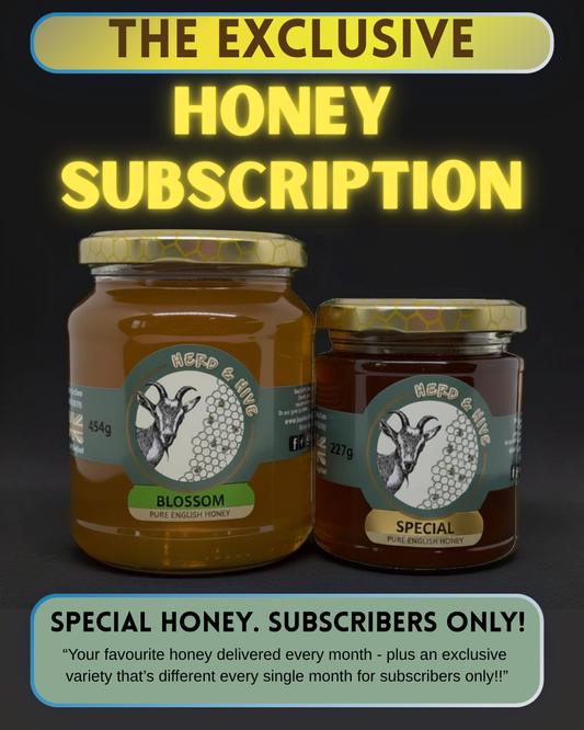 🍯 The Exclusive Honey Subscription 🍯 - Premium Option