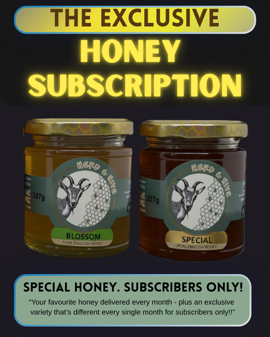 🍯 The Exclusive Honey Subscription 🍯 - Standard Option