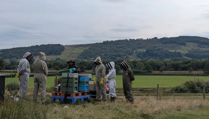 September Beekeeping experience - Various dates available