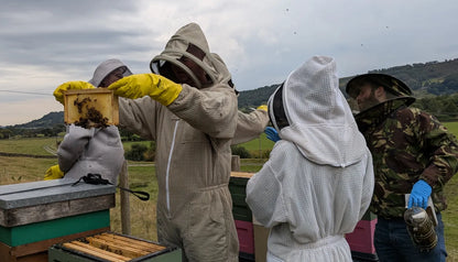 September Beekeeping experience - Various dates available