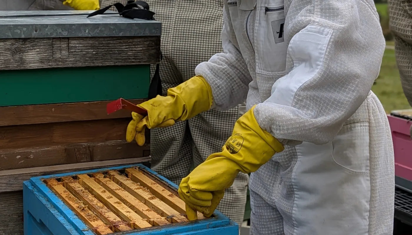 September Beekeeping experience - Various dates available