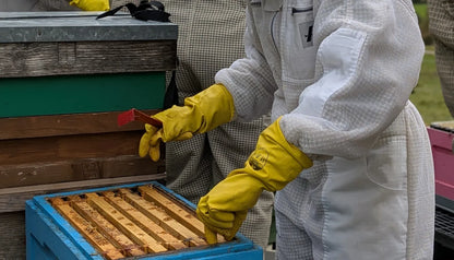 September Beekeeping experience - Various dates available