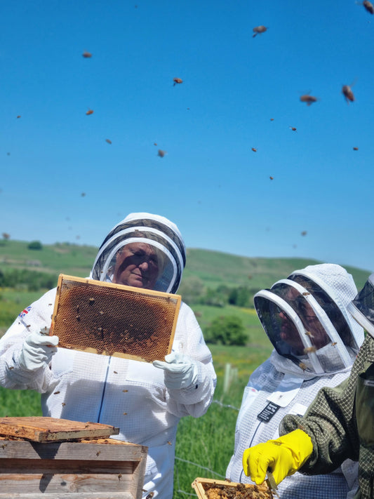 1 to 1 beekeeping mentoring program.